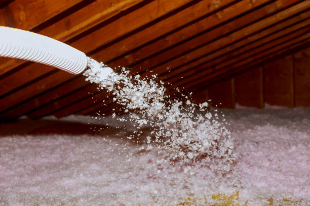 Best Cellulose Insulation in Glen Dale, WV